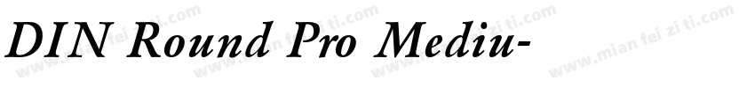 DIN Round Pro Mediu字体转换